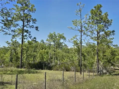 00 NE 129th Avenue Williston FL 32696