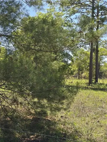 00 NE 129th Avenue Williston FL 32696