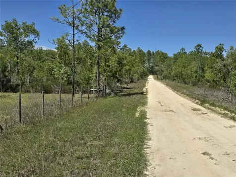 00 NE 129th Avenue Williston FL 32696