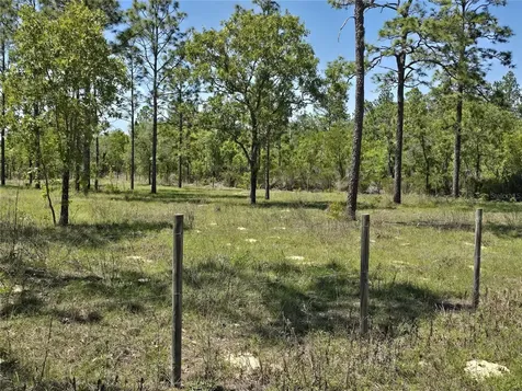 00 NE 129th Avenue Williston FL 32696