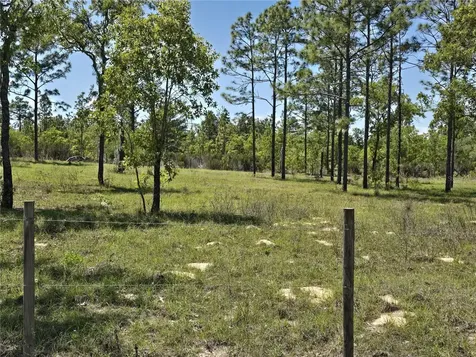 00 NE 129th Avenue Williston FL 32696