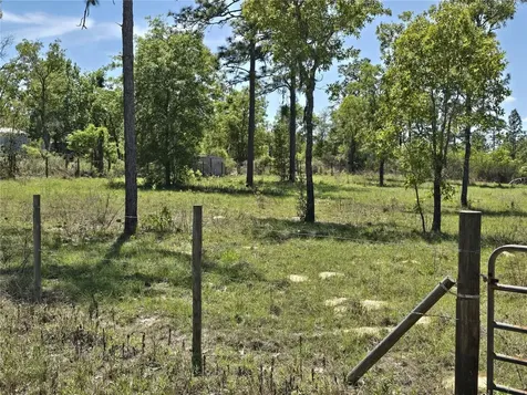 00 NE 129th Avenue Williston FL 32696