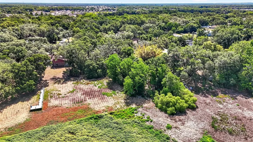 5355 Bernadette Drive Zephyrhills FL 33541