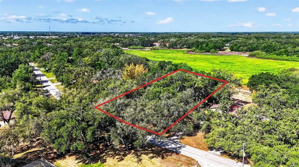 5355 Bernadette Drive Zephyrhills FL 33541
