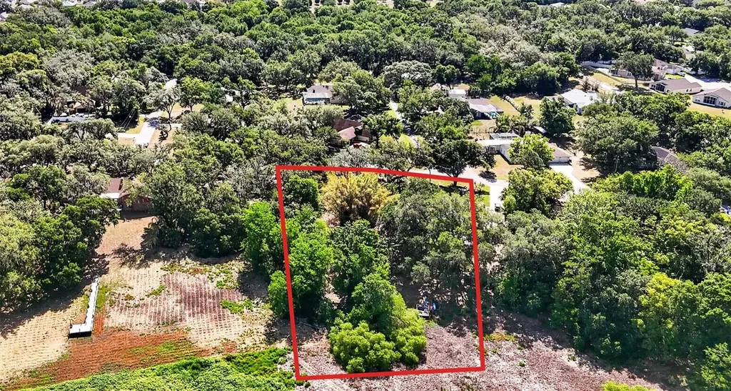 5355 Bernadette Drive Zephyrhills FL 33541
