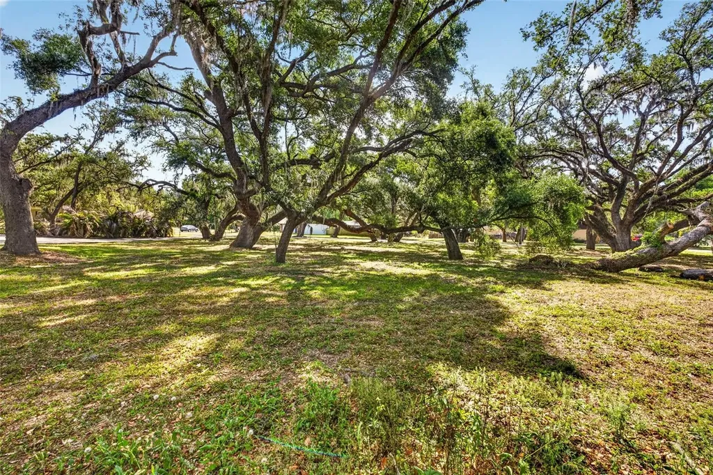 5355 Bernadette Drive Zephyrhills FL 33541