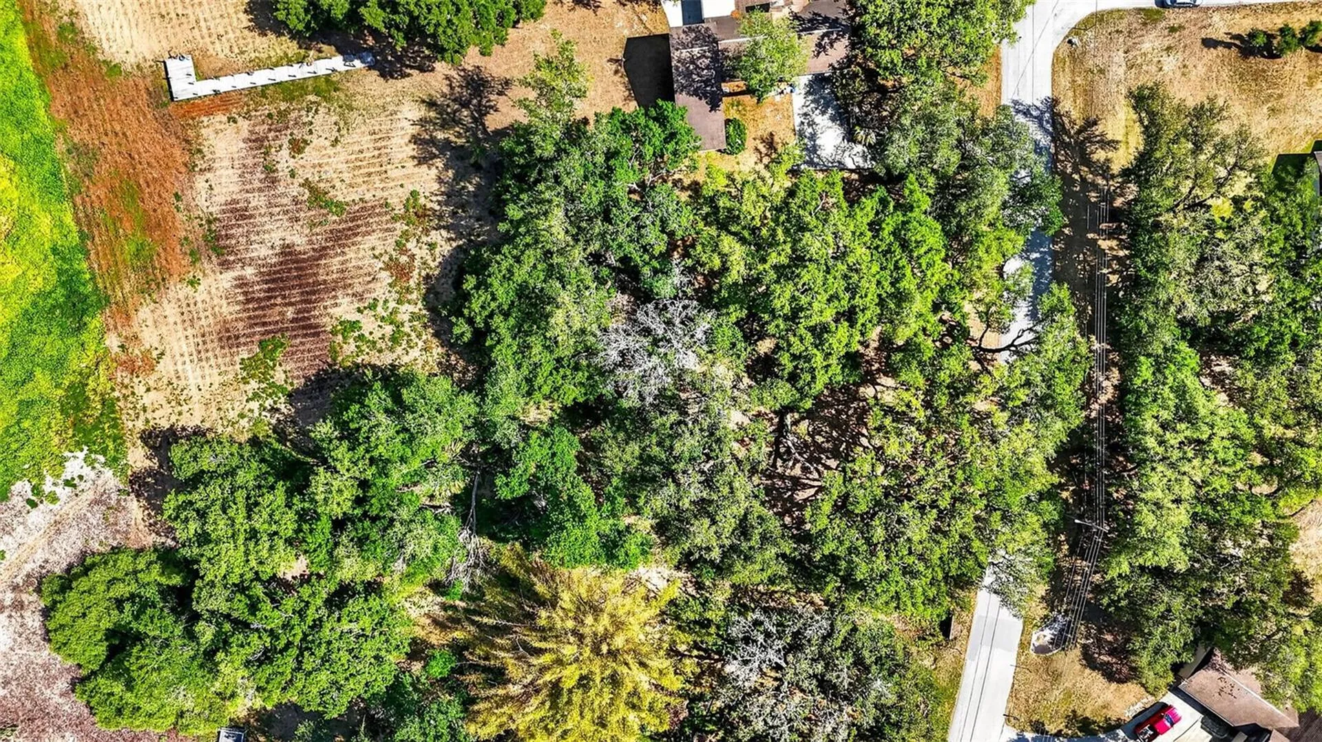 5355 Bernadette Drive Zephyrhills FL 33541