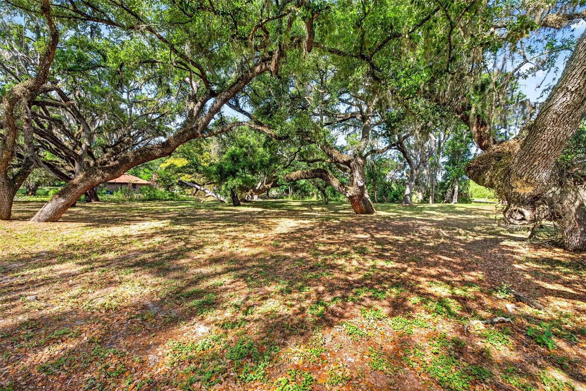 5355 Bernadette Drive Zephyrhills FL 33541