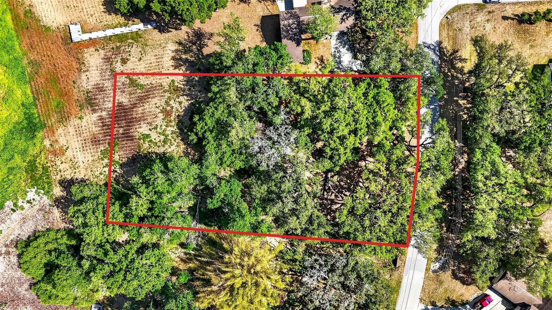 5355 Bernadette Drive Zephyrhills FL 33541