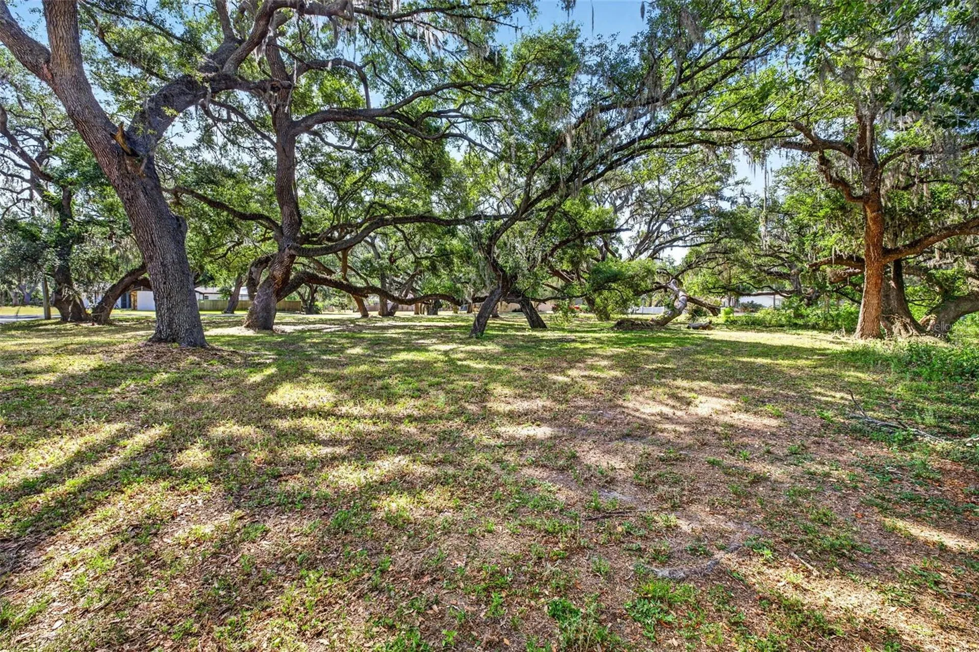 5355 Bernadette Drive Zephyrhills FL 33541