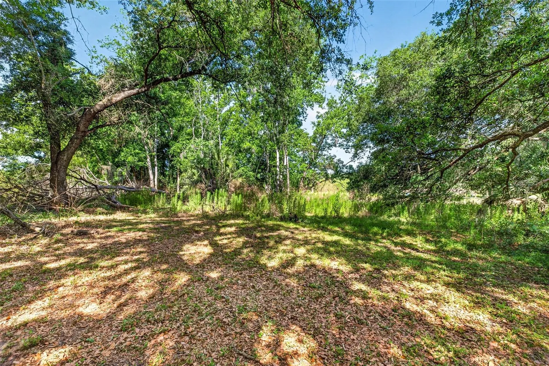 5355 Bernadette Drive Zephyrhills FL 33541