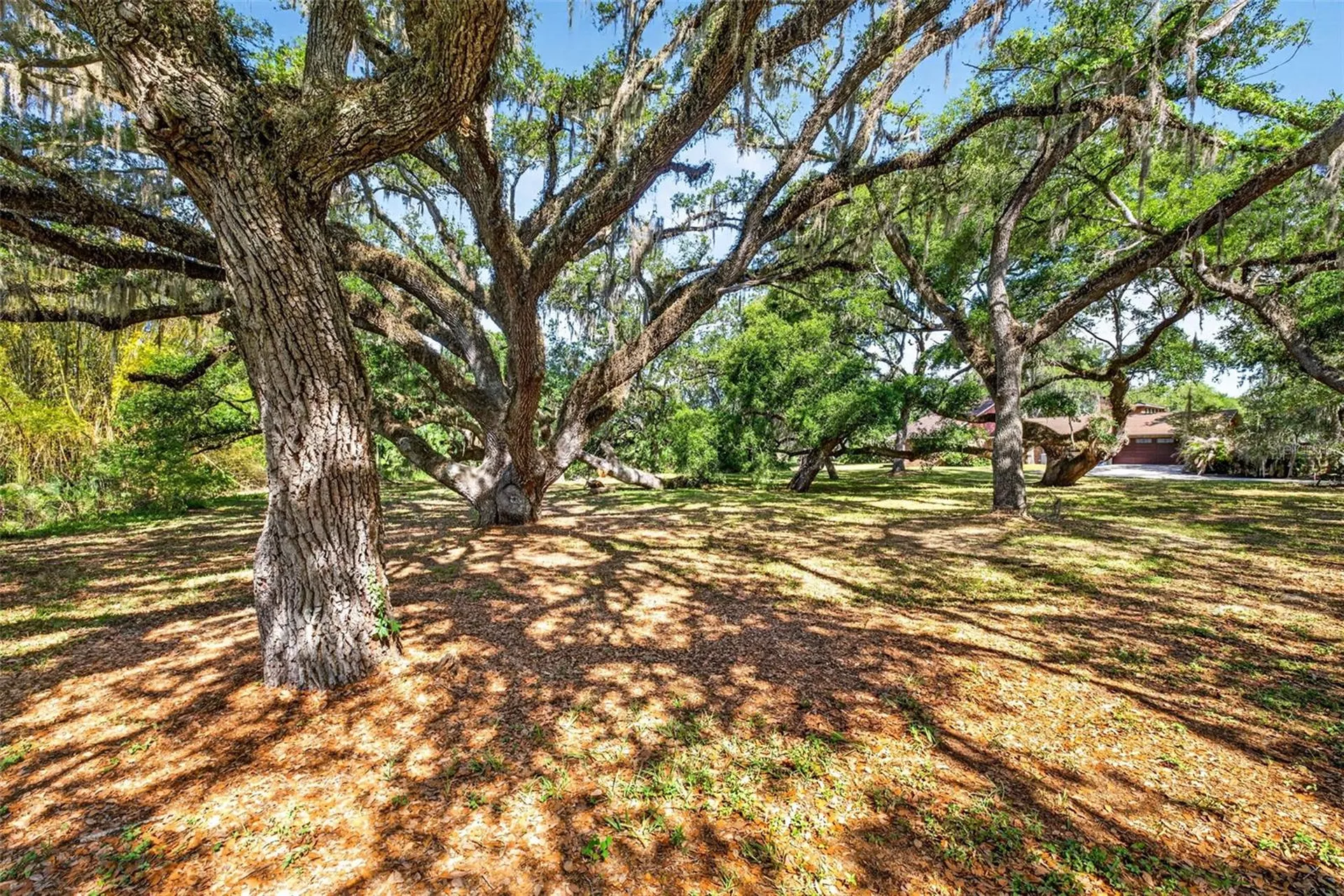 5355 Bernadette Drive Zephyrhills FL 33541