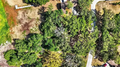 5355 Bernadette Drive Zephyrhills FL 33541