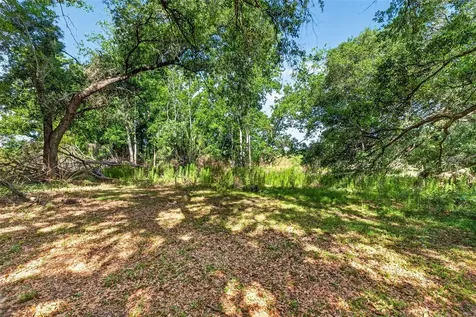 5355 Bernadette Drive Zephyrhills FL 33541
