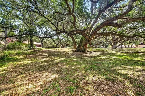 5355 Bernadette Drive Zephyrhills FL 33541