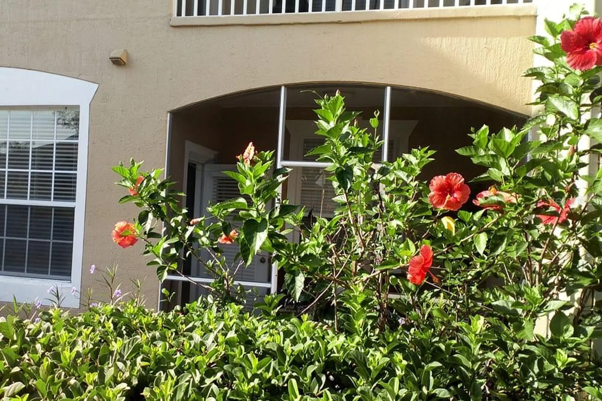2307 Butterfly Palm Way Kissimmee FL 34747