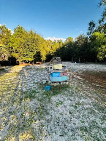 1889 Ranchland Trail Longwood FL 32750
