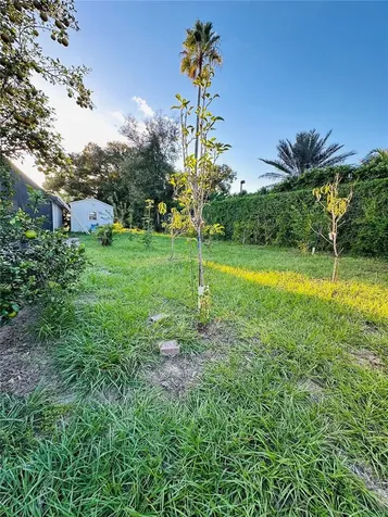 1889 Ranchland Trail Longwood FL 32750