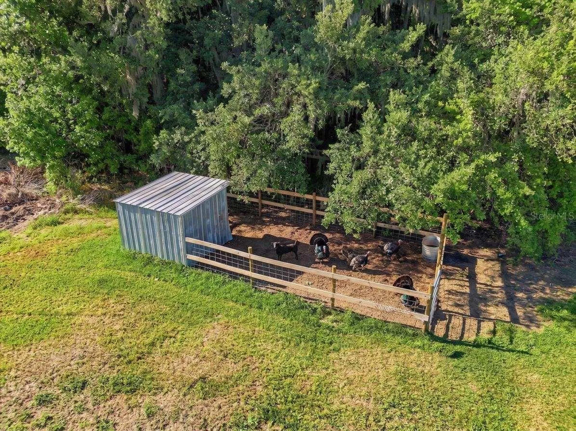 2150 Brooke Road Fort Meade FL 33841