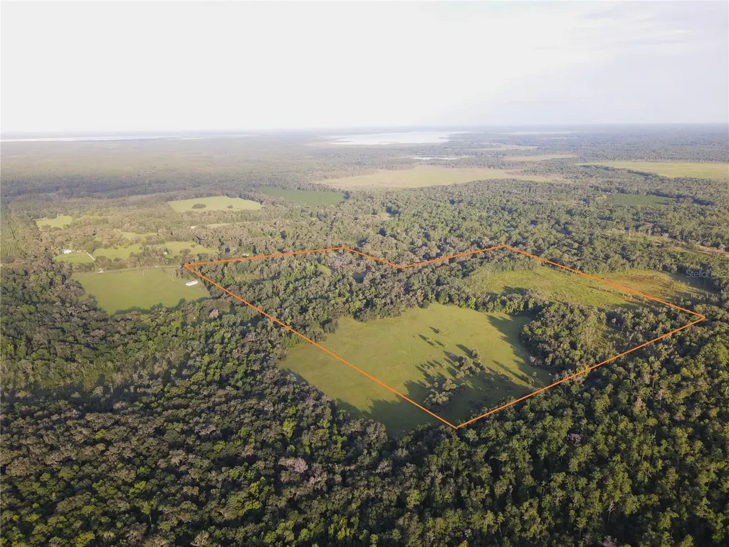 11816 SE County Road 234 Micanopy FL 32667