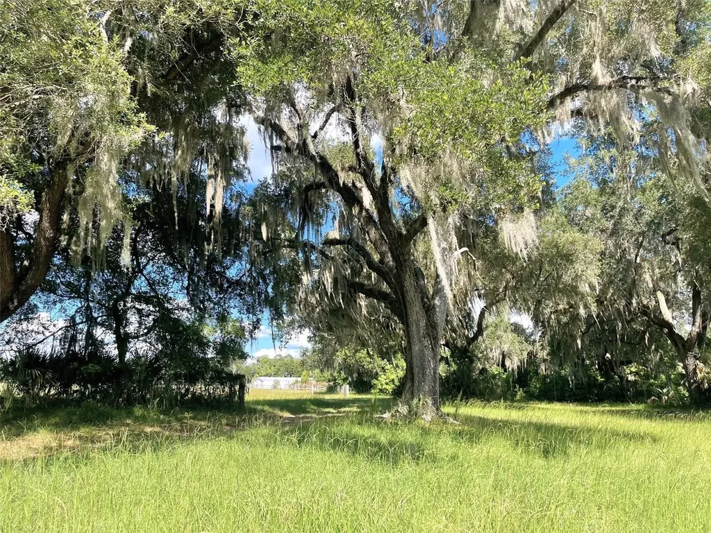 11816 SE County Road 234 Micanopy FL 32667
