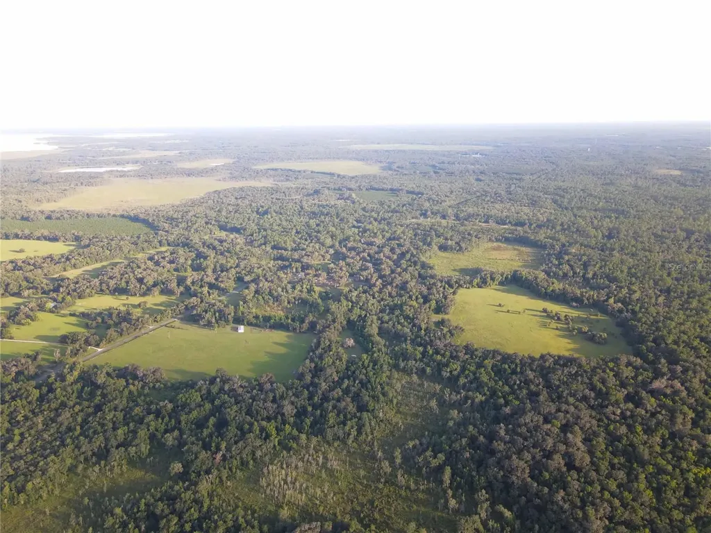 11816 SE County Road 234 Micanopy FL 32667