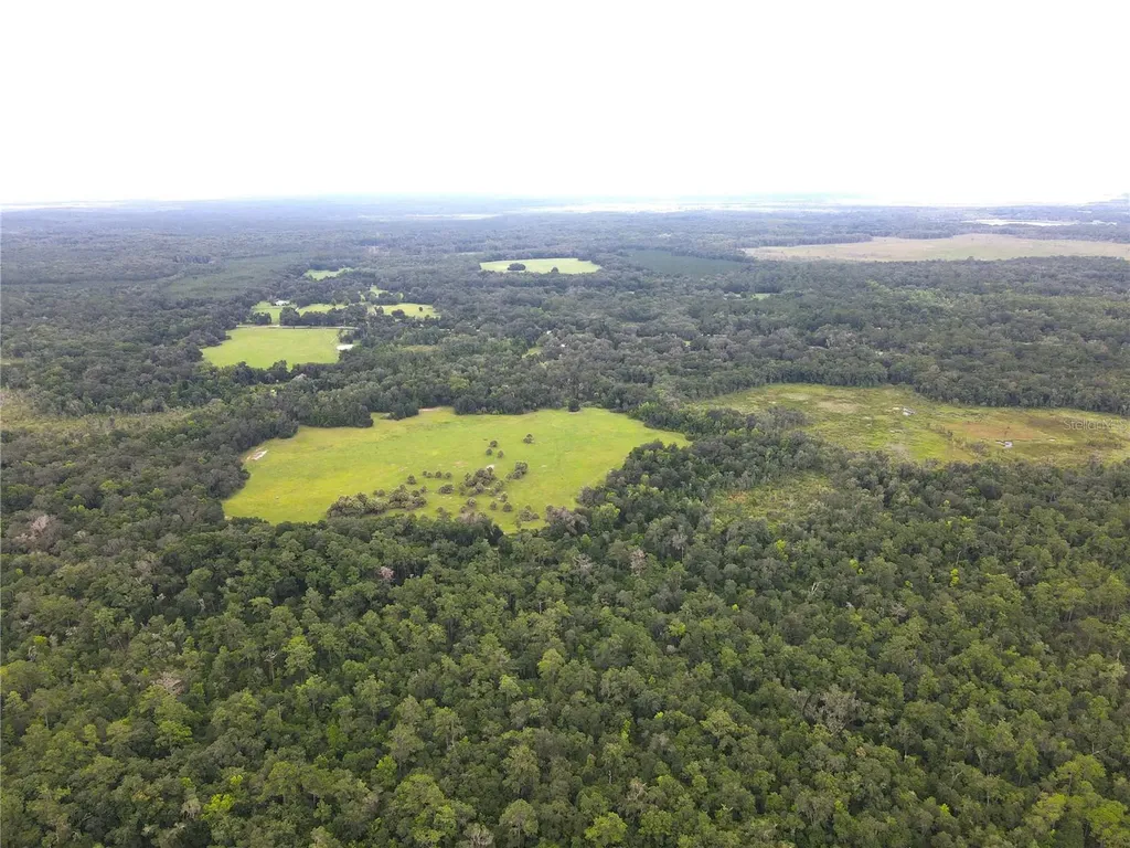 11816 SE County Road 234 Micanopy FL 32667