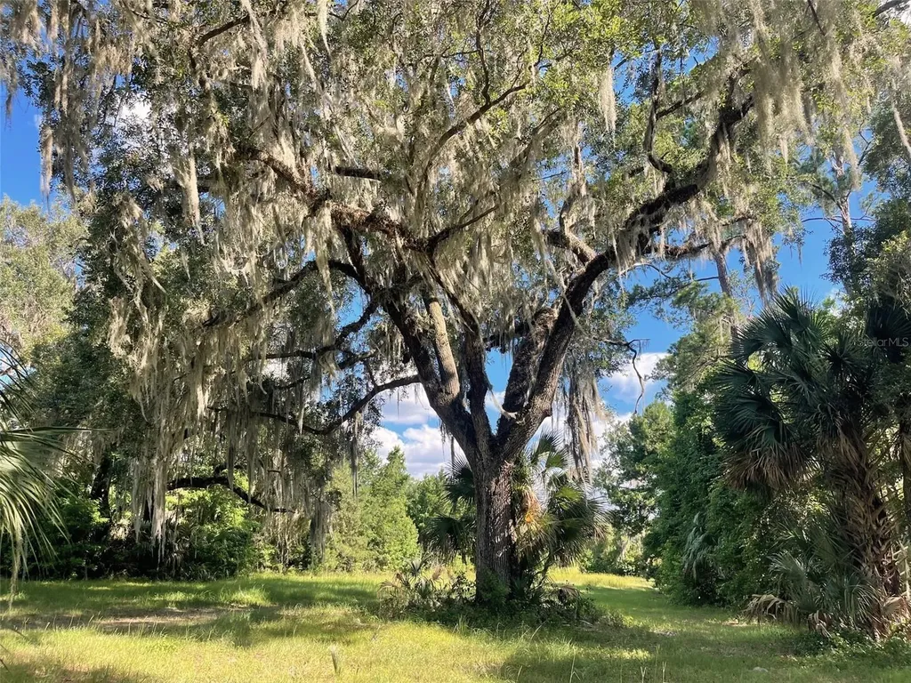 11816 SE County Road 234 Micanopy FL 32667