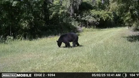 11816 SE County Road 234 Micanopy FL 32667