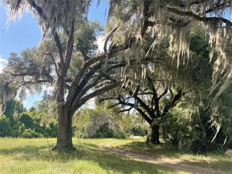 11816 SE County Road 234 Micanopy FL 32667