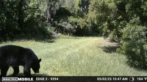 11816 SE County Road 234 Micanopy FL 32667