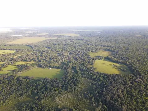 11816 SE County Road 234 Micanopy FL 32667