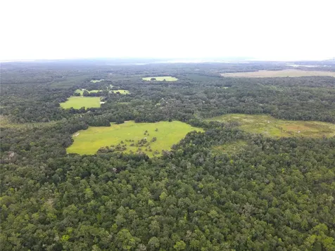 11816 SE County Road 234 Micanopy FL 32667