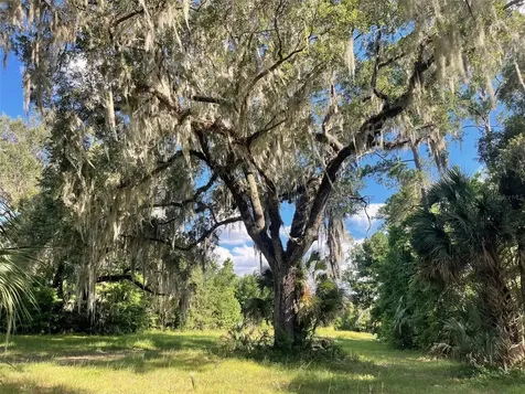 11816 SE County Road 234 Micanopy FL 32667