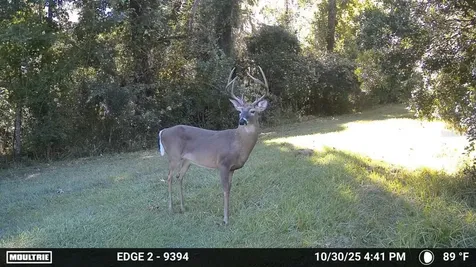 11816 SE County Road 234 Micanopy FL 32667