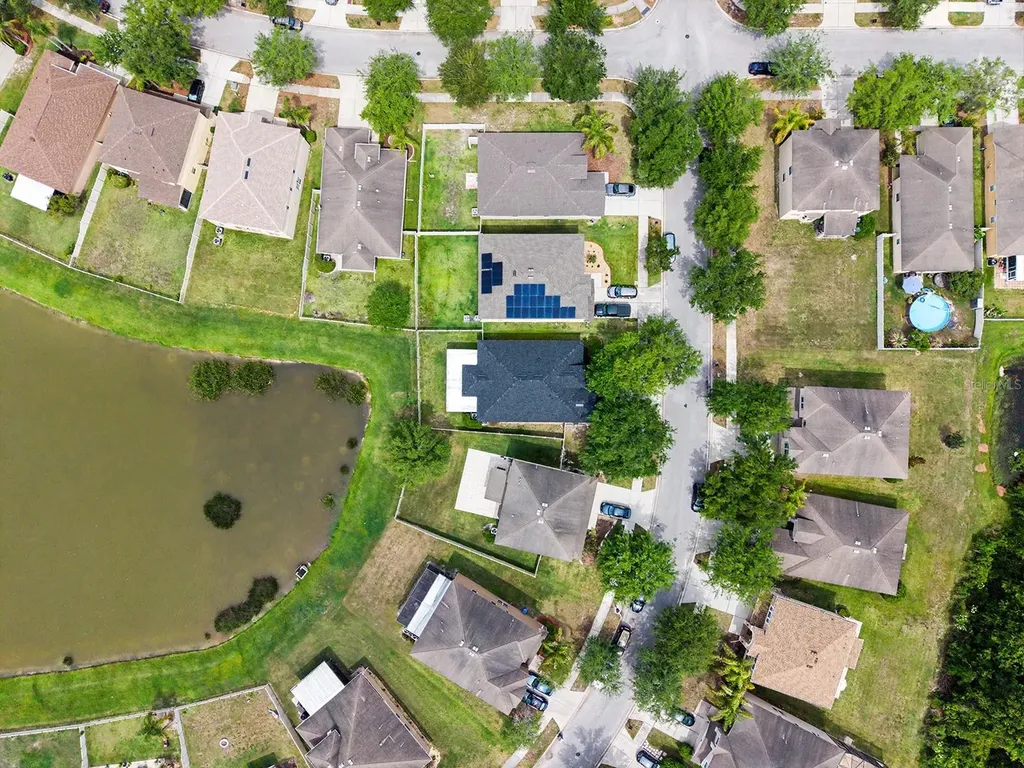 10905 Ancient Futures Drive Tampa FL 33647