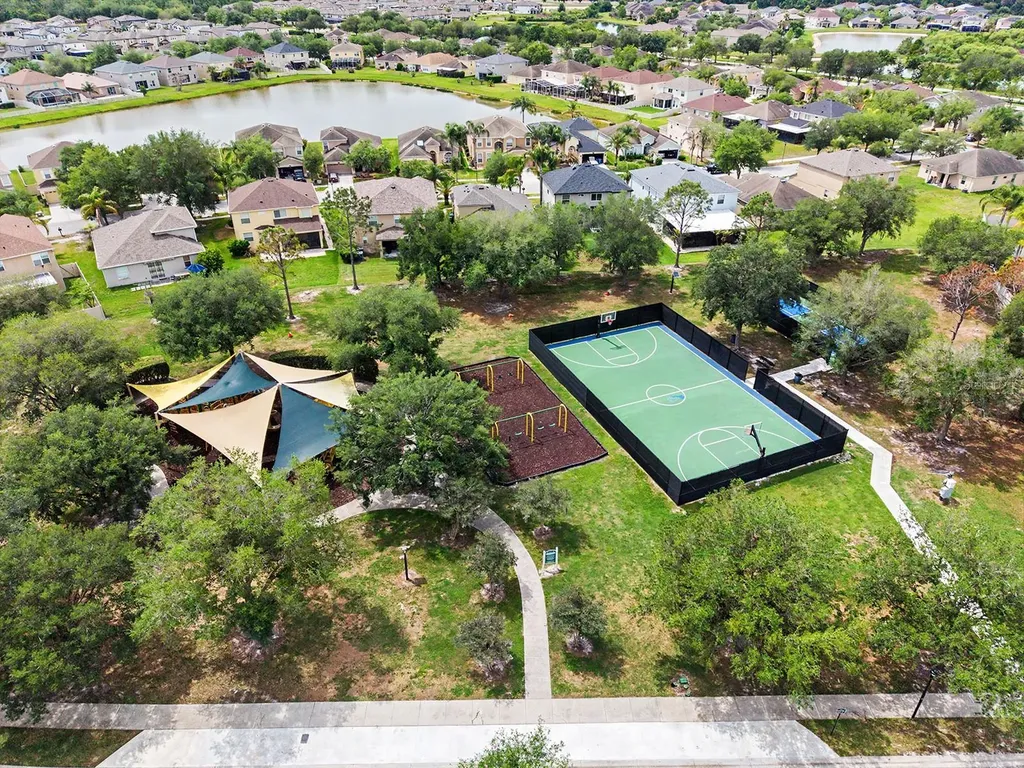 10905 Ancient Futures Drive Tampa FL 33647
