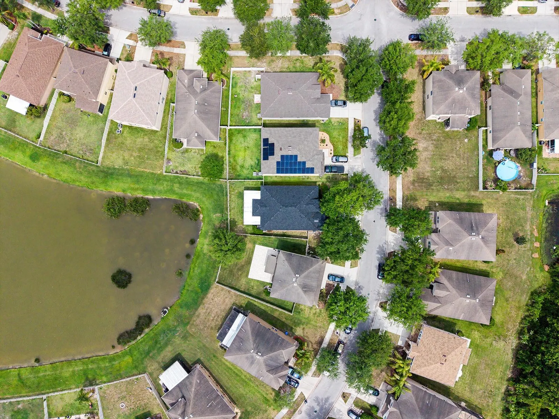10905 Ancient Futures Drive Tampa FL 33647