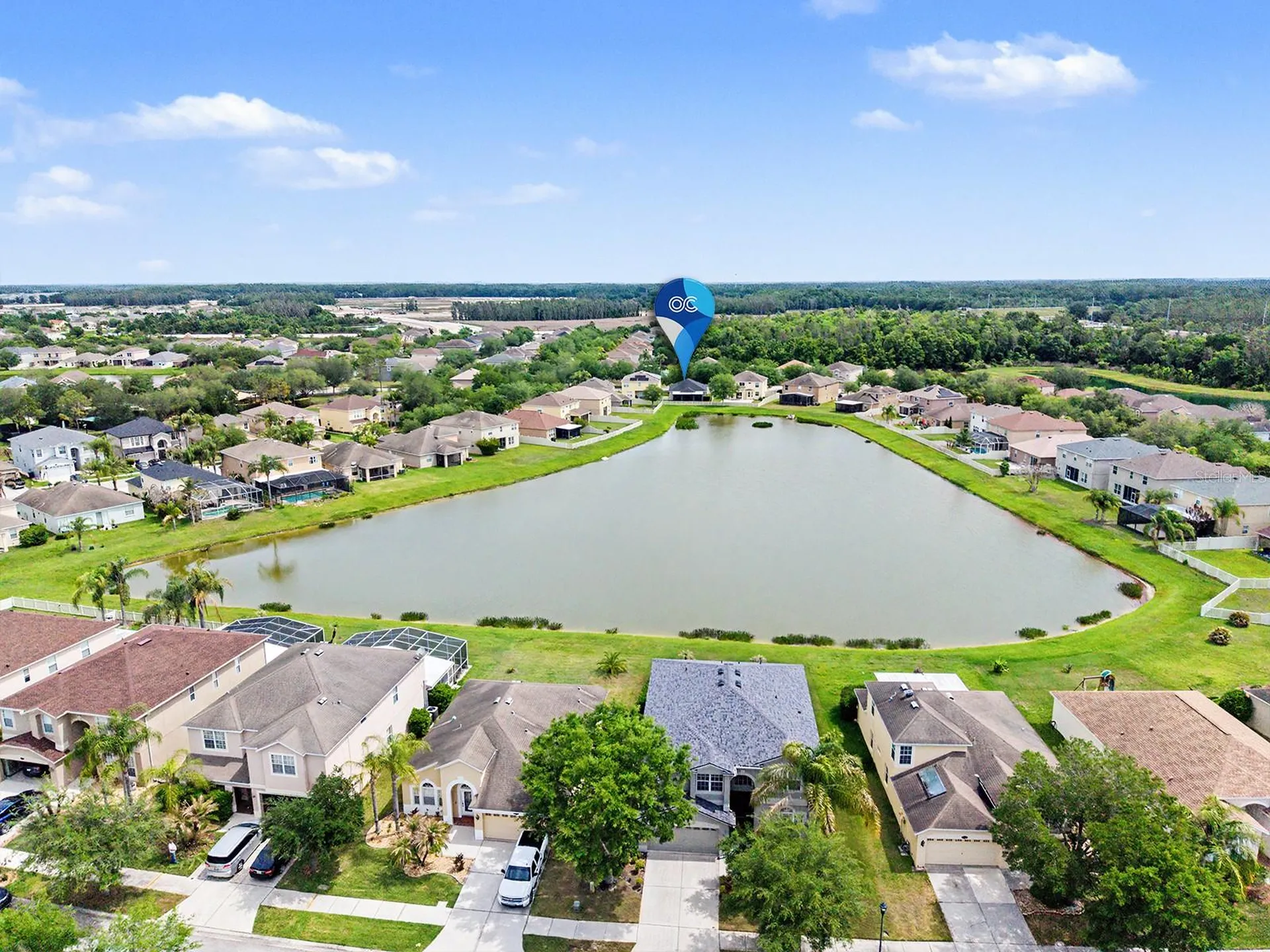 10905 Ancient Futures Drive Tampa FL 33647