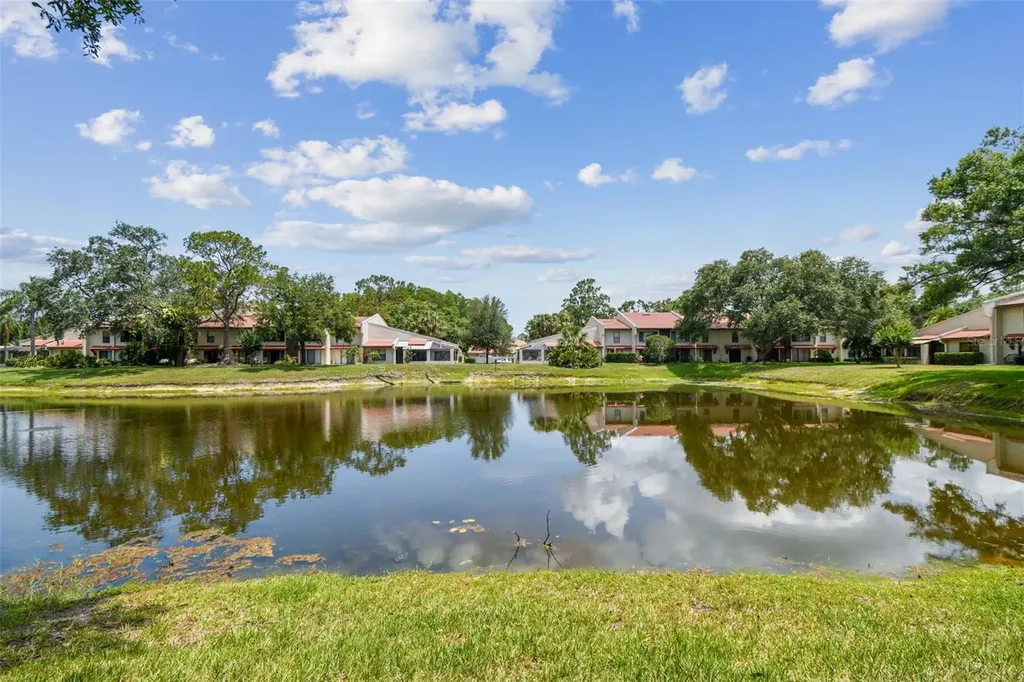 3505 Tarpon Woods Boulevard Palm Harbor FL 34685