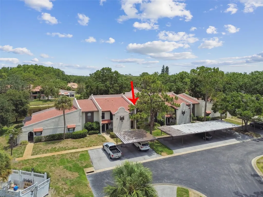 3505 Tarpon Woods Boulevard Palm Harbor FL 34685