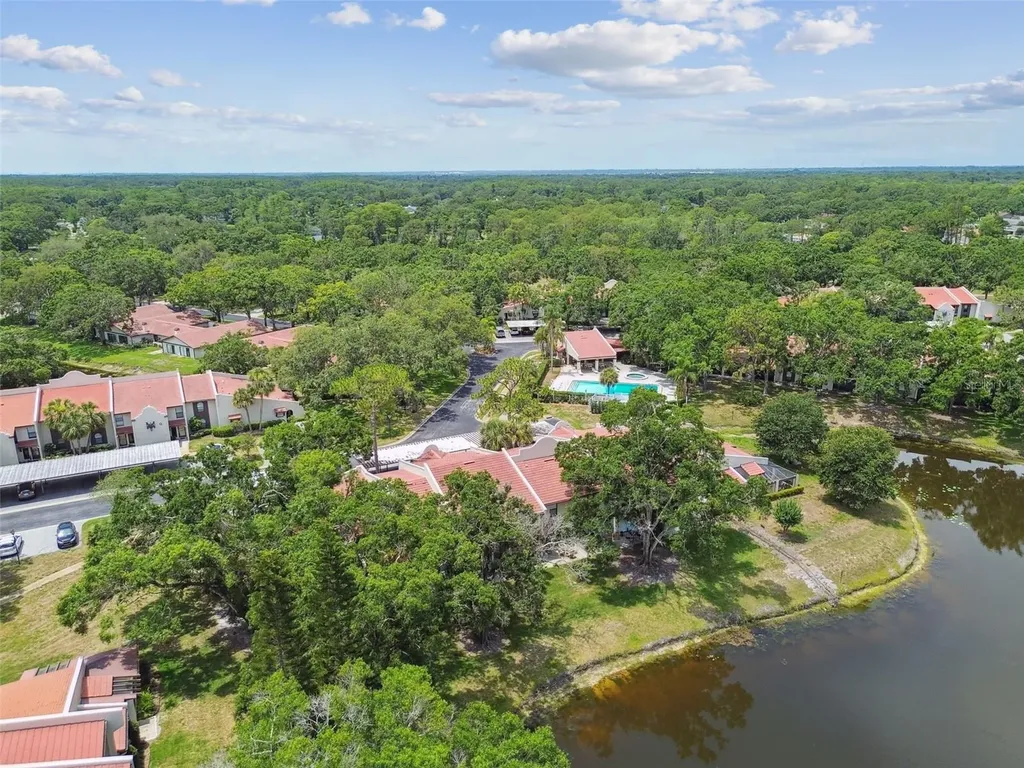 3505 Tarpon Woods Boulevard Palm Harbor FL 34685