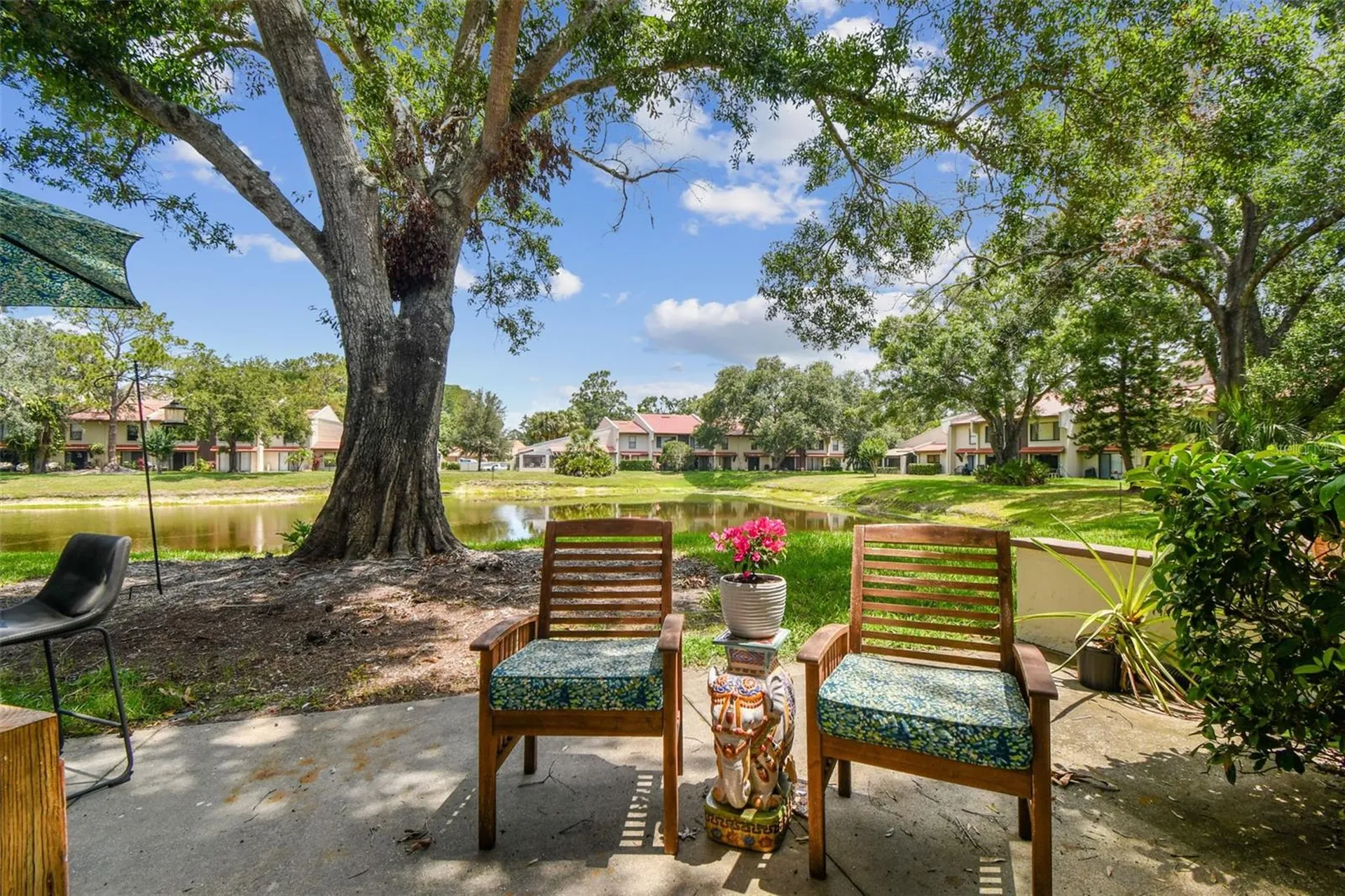 3505 Tarpon Woods Boulevard Palm Harbor FL 34685
