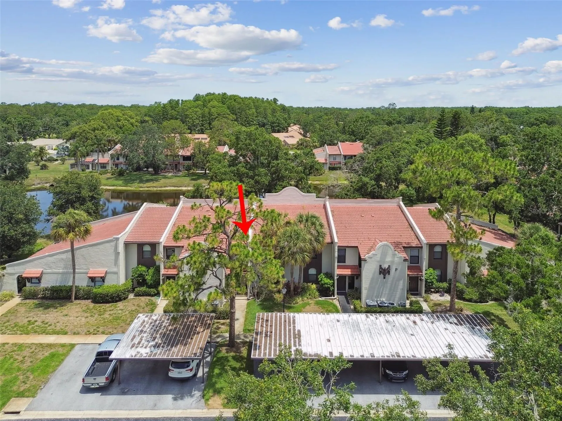 3505 Tarpon Woods Boulevard Palm Harbor FL 34685