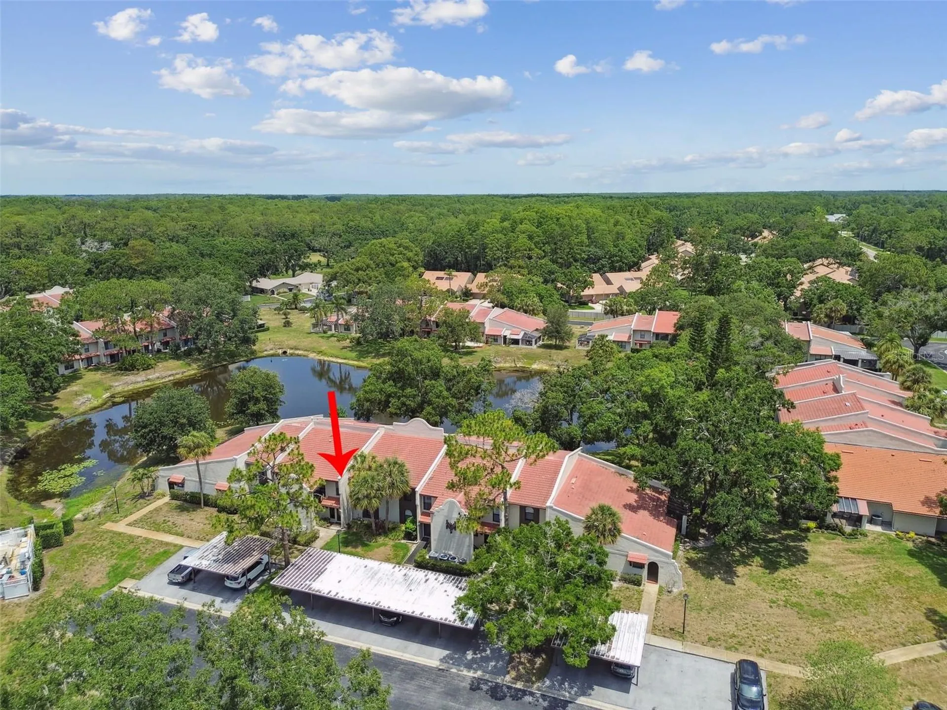 3505 Tarpon Woods Boulevard Palm Harbor FL 34685