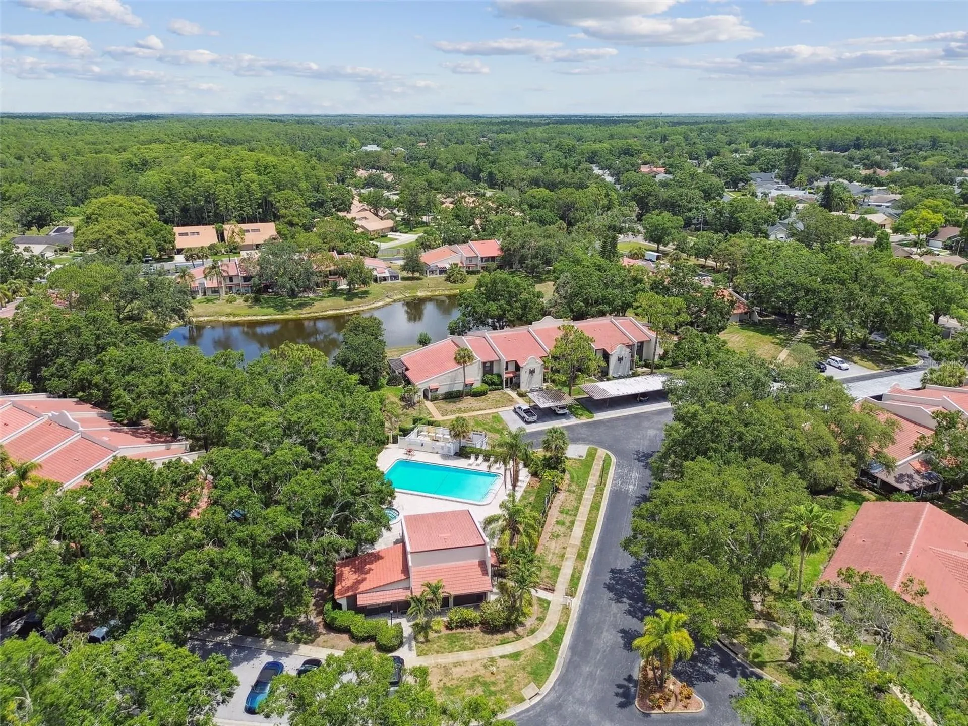 3505 Tarpon Woods Boulevard Palm Harbor FL 34685