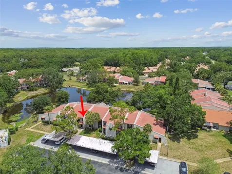 3505 Tarpon Woods Boulevard Palm Harbor FL 34685