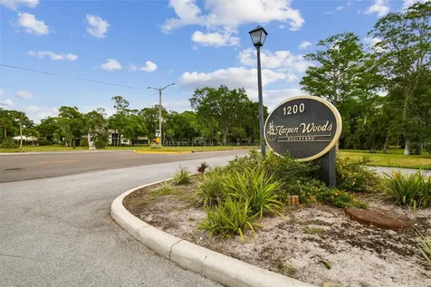 3505 Tarpon Woods Boulevard Palm Harbor FL 34685
