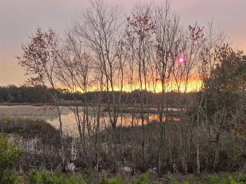 5204 Scotland Court Leesburg FL 34748