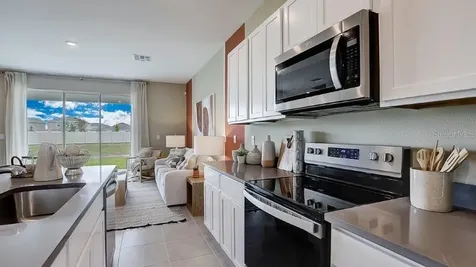 32563 Midsummer Night Lane Wesley Chapel FL 33543